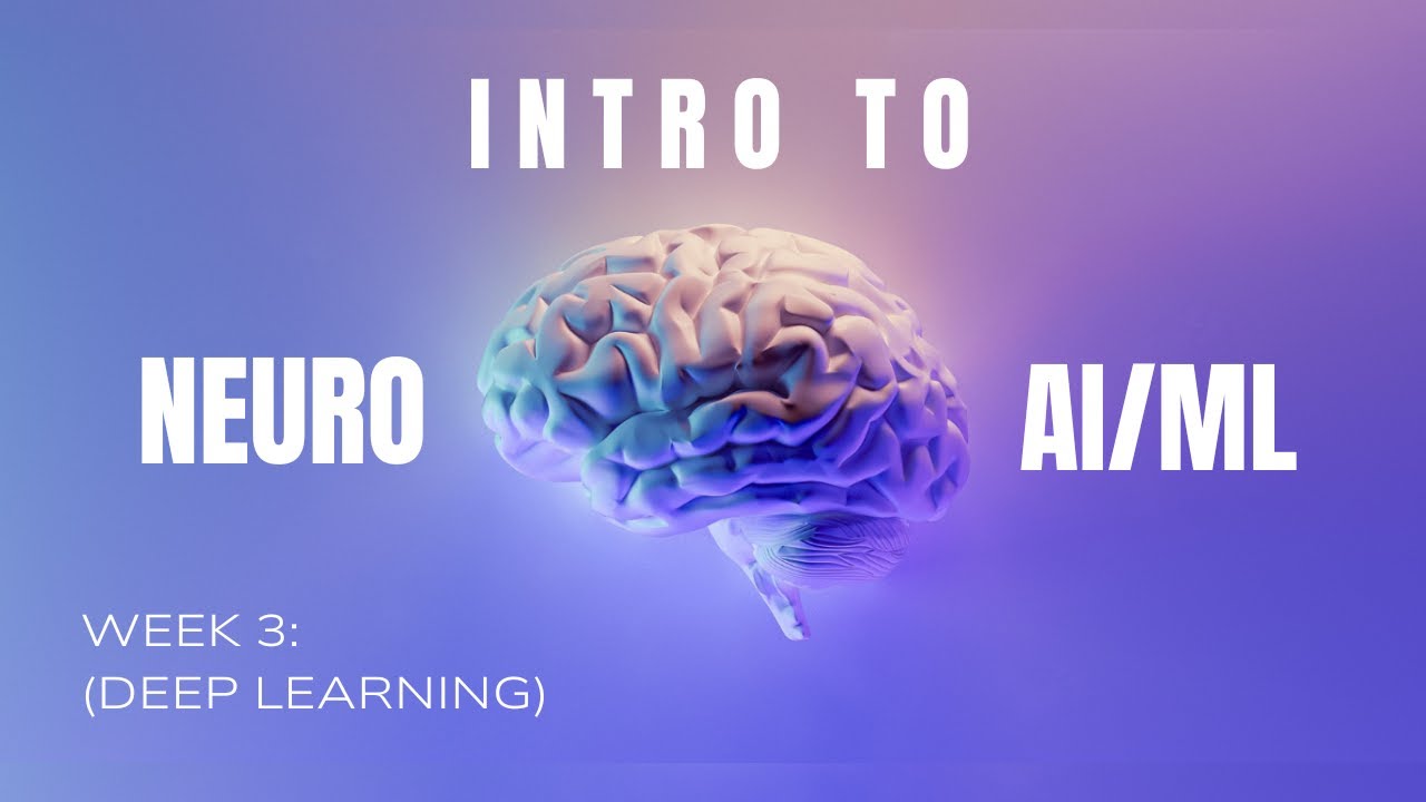 Week 3 from the Intro Neuro/AI Course Fall 2024
