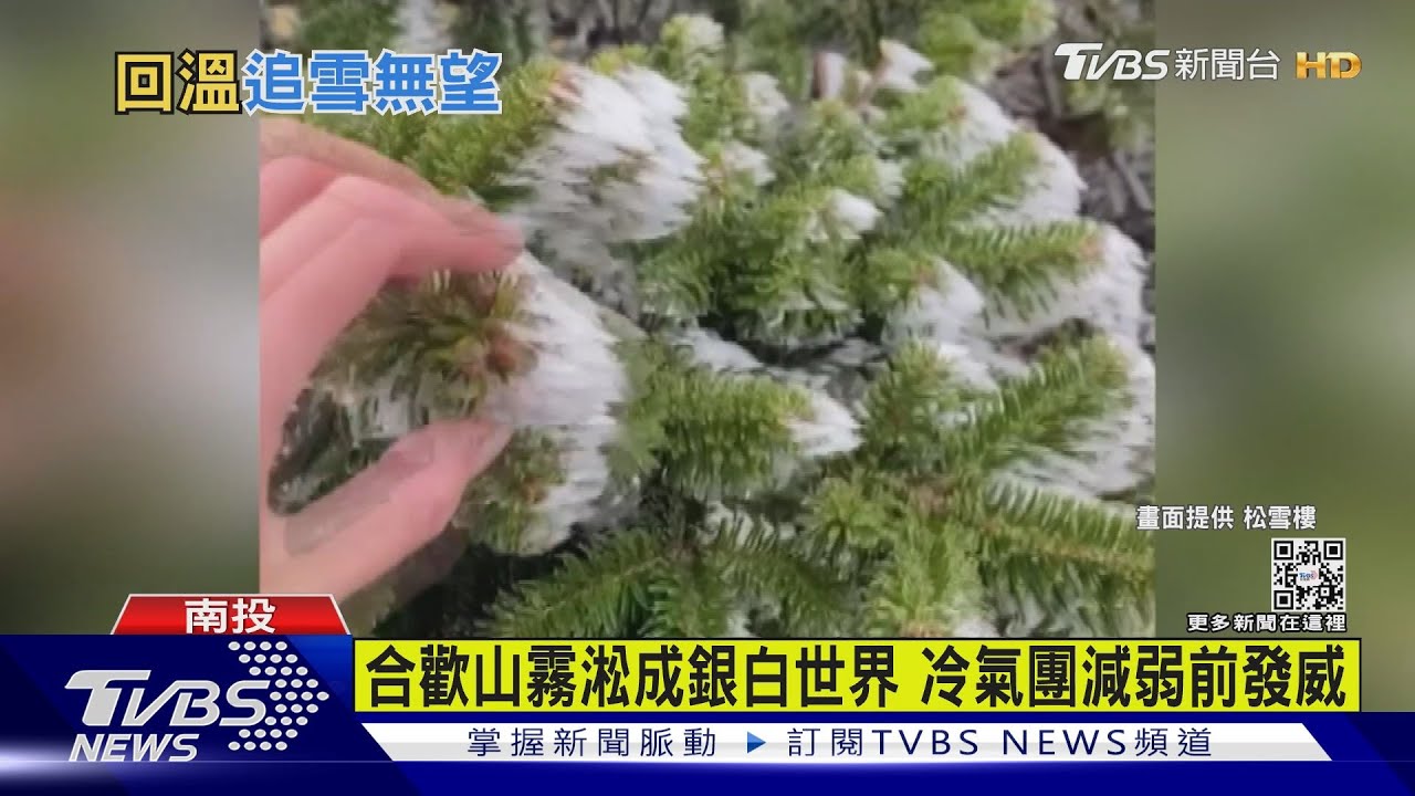 合歡山霧淞成銀白世界 冷氣團減弱前發威