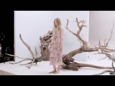 NICKY ZIMMERMANN: THE WINSOME ONE