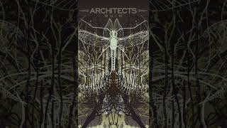 Architects - Ruin - Hunt Them Down