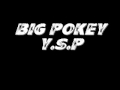 BIG POKEY Y.S.P.