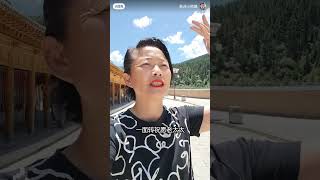 拉卜楞寺许愿今年鸡头米大卖  他人幸福通通和我无关