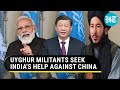 Al Qaeda-linked Uyghur militant group seeks India's help against China over Xinjiang | Report