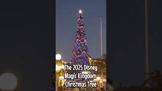 The 2025 Disney Magic Kingdom Christmas Tree