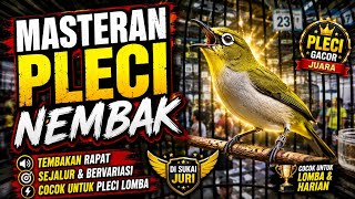 Download lagu CEPAT NGUNCI 🔥 Masteran Pleci Nembak Wit Wit Zipper mp3