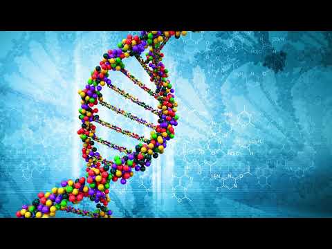 Spirit Molecule vs Audiopathik vs Extraterrestrial - ExtraAudioMolecules