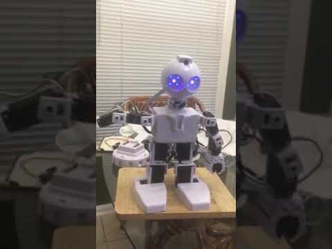 Ezang's Let's Have Some JD Robot With Voice Commands