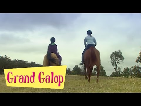 Grand Galop 224 - Impair et manque | HD | Épisode Complet