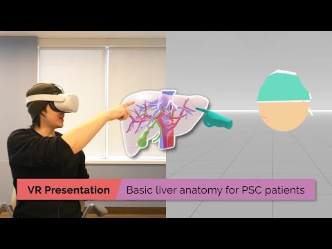 Basic liver anatomy for patients with Primary Sclerosing Cholangitis (PSC) | TVASurg