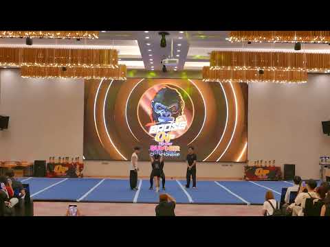 Brose Cheerleading Team Partner Stunt lv6