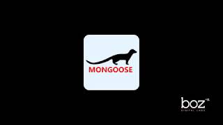Video thumbnail for Mongoose Demo by BozDigitalLabs