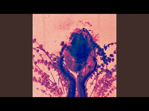 Video thumbnail for salvador dali (frumhere remix)