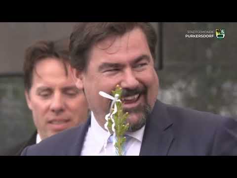 Best of 55 Jahre Stadterhebung Purkersdorf