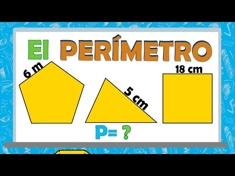 🚀The SUPER EASY Perimeter | How to calculate the perimeter of geometric figures?