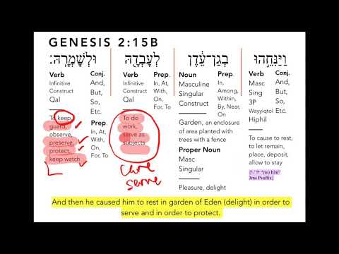 Demystifying Gender and Marriage in Genesis 2 with the Hebrew language