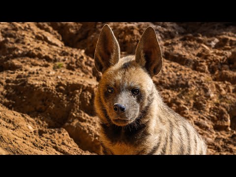 STEPPES & PLAINS | Anatolia Ancient Nature Full Episode