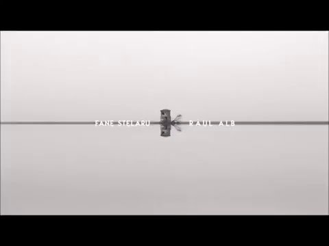 3. Fane Stelaru - Visul unei nopti de vara