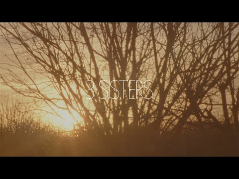 Waxahatchee - "3 Sisters" (Lyric Video)