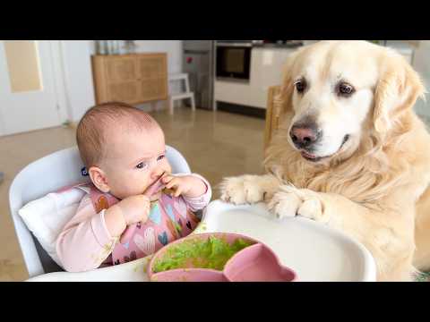 YouTube 썸네일