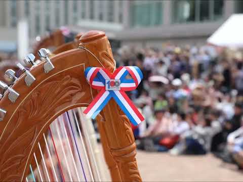 Arpas paraguayas Seleccion de los mejores temas Pajaro campana Galopera etc