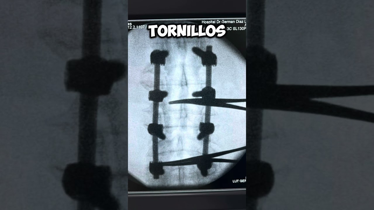 José Augusto Ruiz Gurría-19