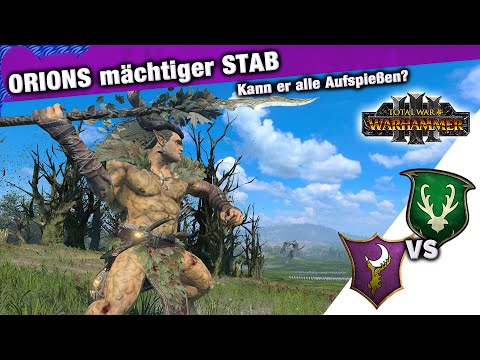 Der SPEER des WALDES - ORIONs Waldelfen vs Dunkelelfen - Warhammer 3 Multiplayer
