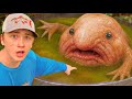 I Found A Secret Pond Full Of Monsters
