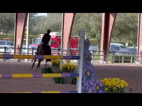 SX - Everton PJ - 145cm - Florida