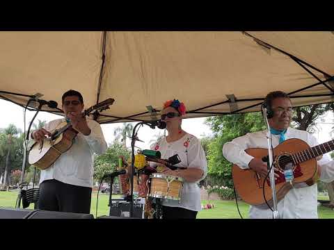 Promotional video thumbnail 7 for Mariachi Trio Los Azulado
