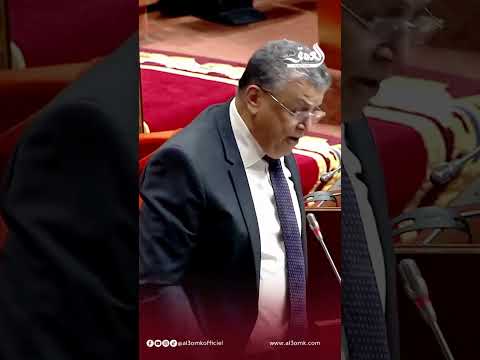 وهبي: خاصنا شي وزير فالحكومة يتكلف غير بـ