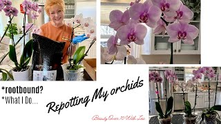 REPOTTING MY ORCHIDS #orchids #diy #phalaenopsis #orchidcare #loveorchids