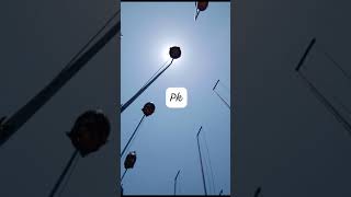 Download lagu Perkutut Juara Nasional Putra Kadur Ring Atlas mp3