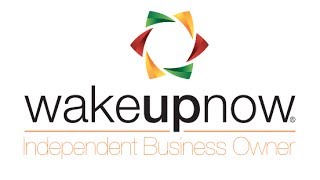 Become Your Own Boss WUN Business Break Down