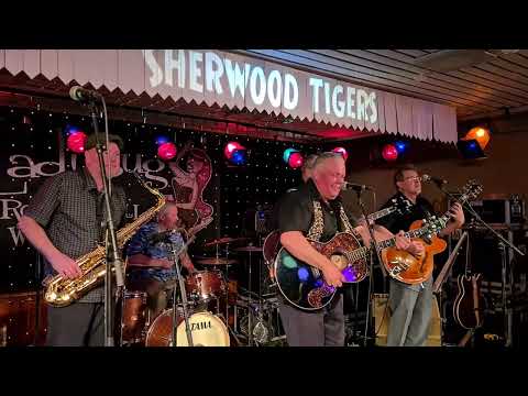 Sherwood Tigers - Teenage Heaven, live at #LadyBugRocknrollWeekender 2023
