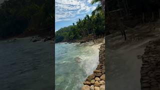 Solo Cruise excursion to Las Caletas Island in Puerto Vallarta. Discovery Princess! #cruise #vlog