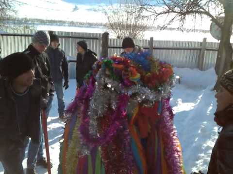 CAPRA DIN SOCI JUD BACAU 2014