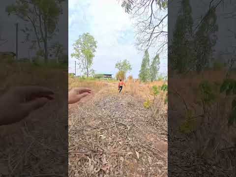 ไปให้สุด ถ้าไม่หยุดเดี๋ยวกูหยุดเอง !! #funny