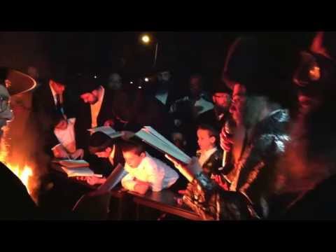 Rimanov Rebbe - Lag b'Omer - Dovid ben Nachum - Oak Park - Adonani Bar Yochai