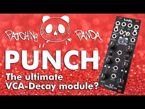 Patching Panda Punch DECAY VCA Module Penishead Review [direct sound] no talking