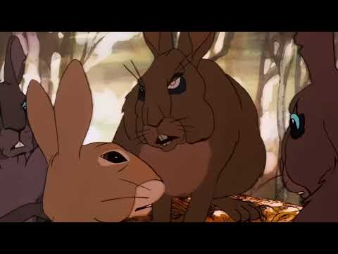 Random Movie Generator x Watership Down