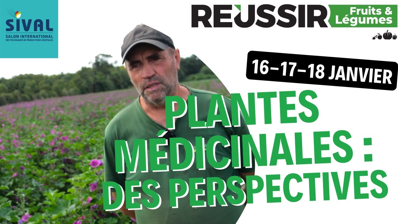 Sival 2023 : donner de la visibilité aux plantes médicinales