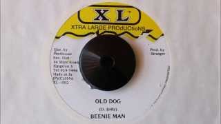 BEENIE MAN - OLD DOG