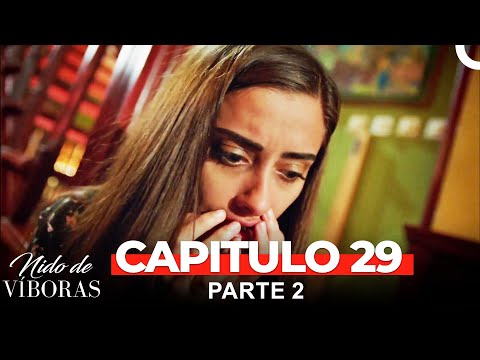Nido De Víboras Todos Los Capítulos 29 Parte 2