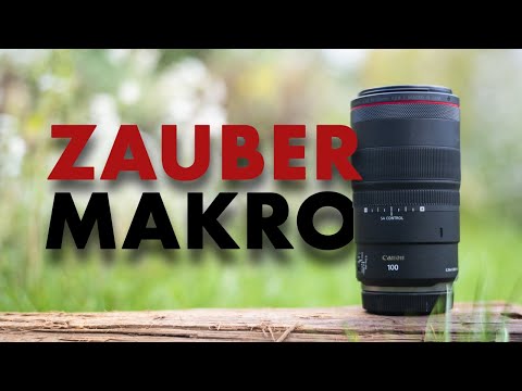 High-End Objektiv trifft Retro-Look - Canon RF Macro 100 2.8 | SA Control