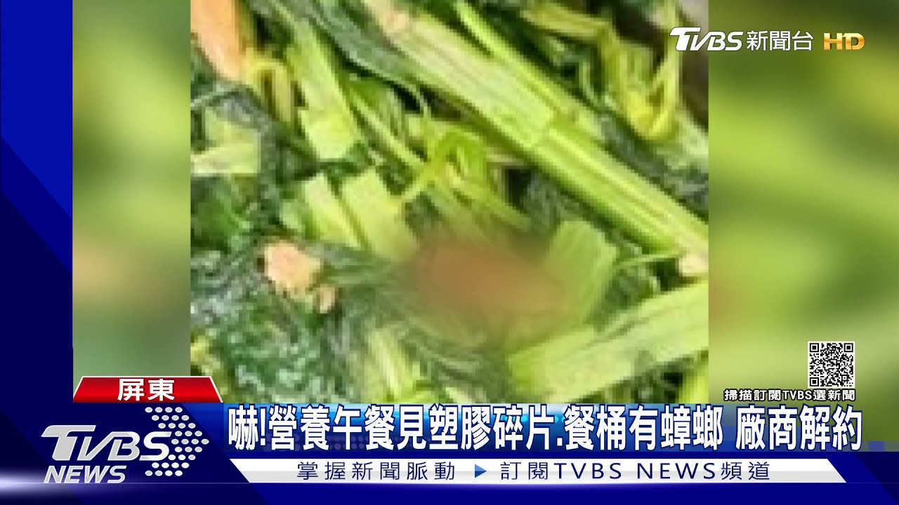 嚇!國中營養午餐驚見塑膠碎片、餐桶有蟑螂 廠商解約