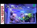 75 Gallon All In One Aquarium