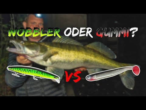Wobbler oder Gummifisch auf Zander in der Nacht: So triffst Du die richtige Köderentscheidung