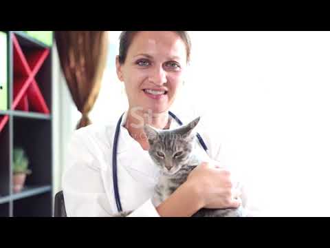 Welcome to Babai's Furry Pets boarding facility in Dubai