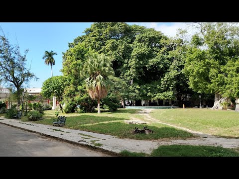 CAMINANDO POR EL PARQUE AGUIRRE, MUNICIPIO PLAZA DE LA REVOLUCIÓN 