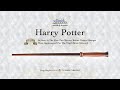 Harry Potter 1st Wand The Noble Collection